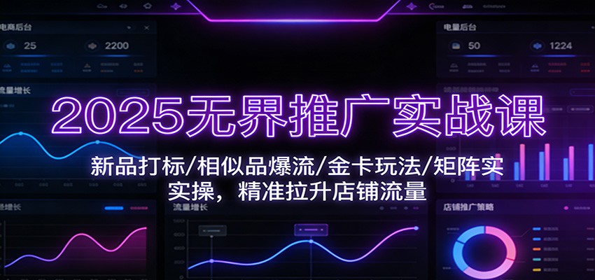 2025无界推广实战课:新品打标/相似品爆流/金卡玩法/矩阵实操,精准拉升店铺流量-大米网创