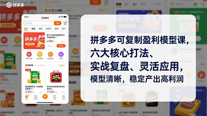 拼多多可复制盈利模型课，六大核心打法、实战复盘、灵活应用，模型清晰，稳定产出高利润-大米网创
