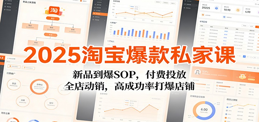 2025淘宝爆款私家课：新品到爆SOP，付费投放，全店动销，高成功率打爆店铺-大米网创
