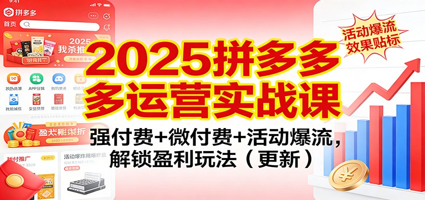 2025拼多多运营实战课:强付费+微付费+活动爆流,解锁盈利玩法(更新)-大米网创