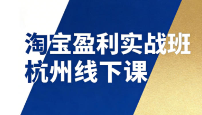 淘宝盈利实战班杭州线下课12月26-28日（音频+字幕），帮你掌握SOP流程+12门核心技术-大米网创