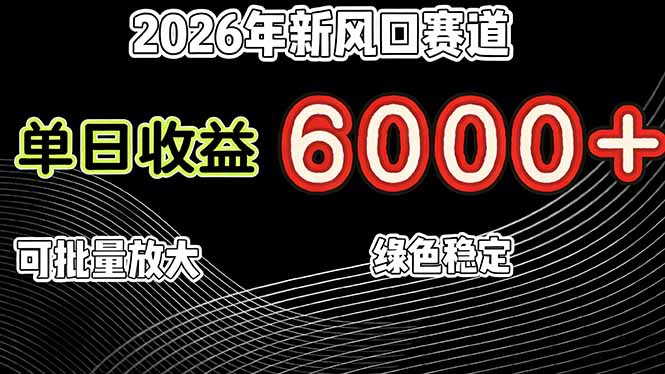 2026年新风口赛道，当日6000+以上，可批量放大，月收入20万+，长期绿色稳定的项目-大米网创