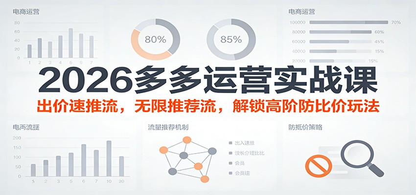 2026多多运营实战课：出价速推流，无限推荐流，解锁高阶防比价玩法（更新）-大米网创