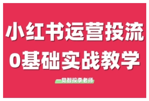 小红书运营投流，小红书广告投放从0到1的实战课，学完即可开始投放（更新26年）-大米网创