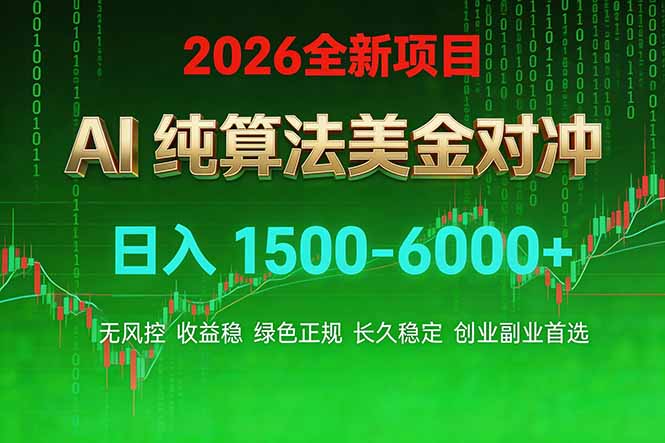 2026 全新美金对冲项目，不套平台赠金，不封号，纯算法对冲，日入 1500-6000+-大米网创