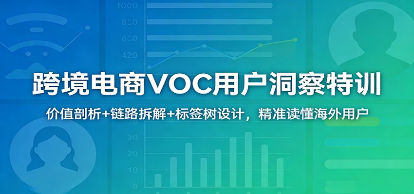 跨境电商VOC用户洞察特训：价值剖析+链路拆解+标签树设计，精准读懂海外用户-大米网创