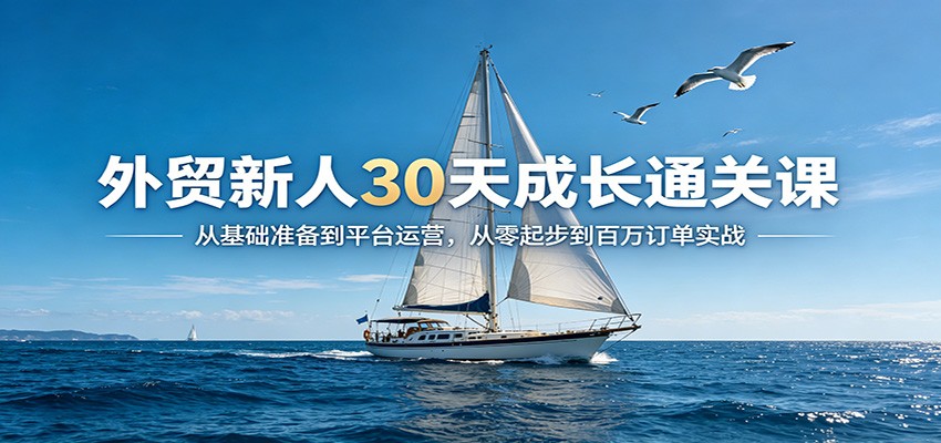 外贸新人30天成长通关课:从基础准备到平台运营,从零起步到百万订单实战-大米网创