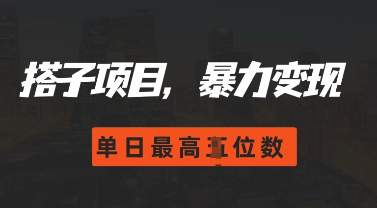 2024搭子玩法，0门槛，暴力变现，单日最高破四位数【揭秘】-大米网创