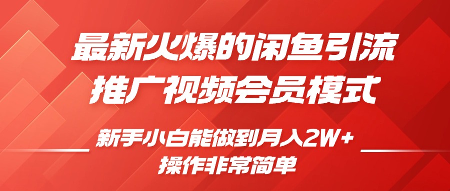 闲鱼引流推广影视会员，0成本就可以操作，新手小白月入过W+【揭秘】-大米网创