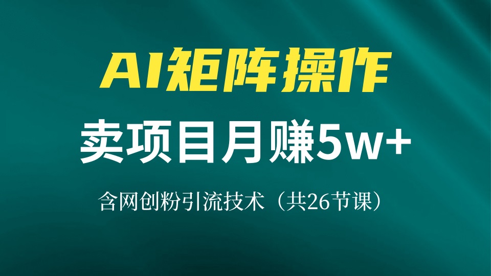 网创IP打造课，借助AI卖项目月赚5万+，含引流技术(共26节课-大米网创