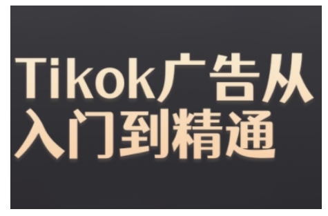 Tiktok Ads实操教程，Tiktok广告从入门到精通-大米网创