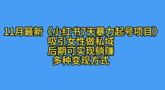 K总部落11月最新小红书7天暴力起号项目，吸引女性做私域【揭秘】-大米网创