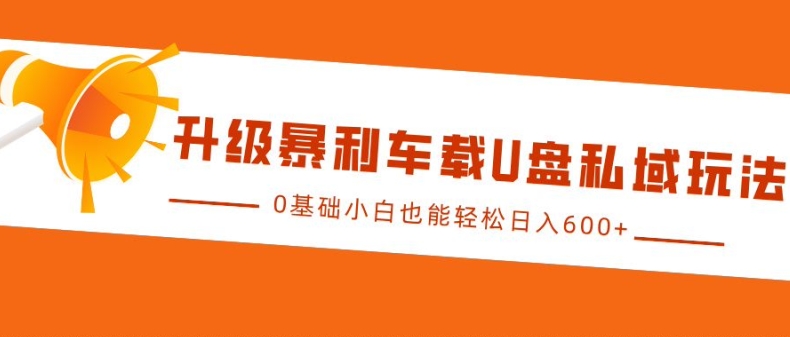 升级暴利车载U盘私域玩法，0基础小白也能轻松日入多张【揭秘】-大米网创