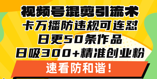 视频号混剪引流技术，500万播放引流17000创业粉，操作简单当天学会-大米网创