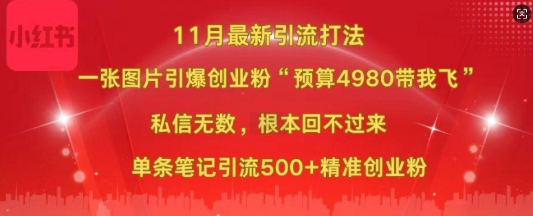 小红书11月最新图片打粉，一张图片引爆创业粉，“预算4980带我飞”，单条引流500+精准创业粉-大米网创